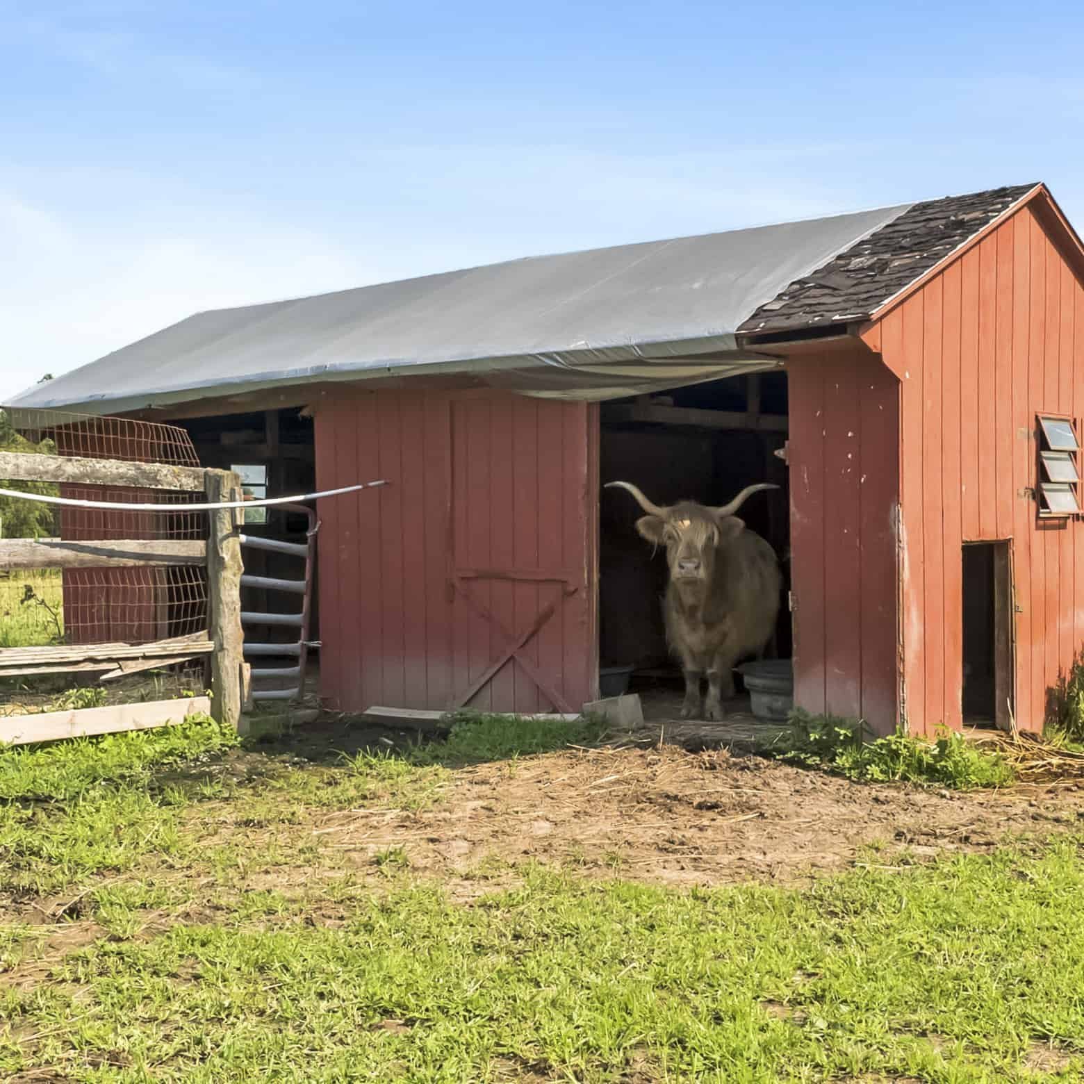 Hudson Valley Petting Zoo For Sale